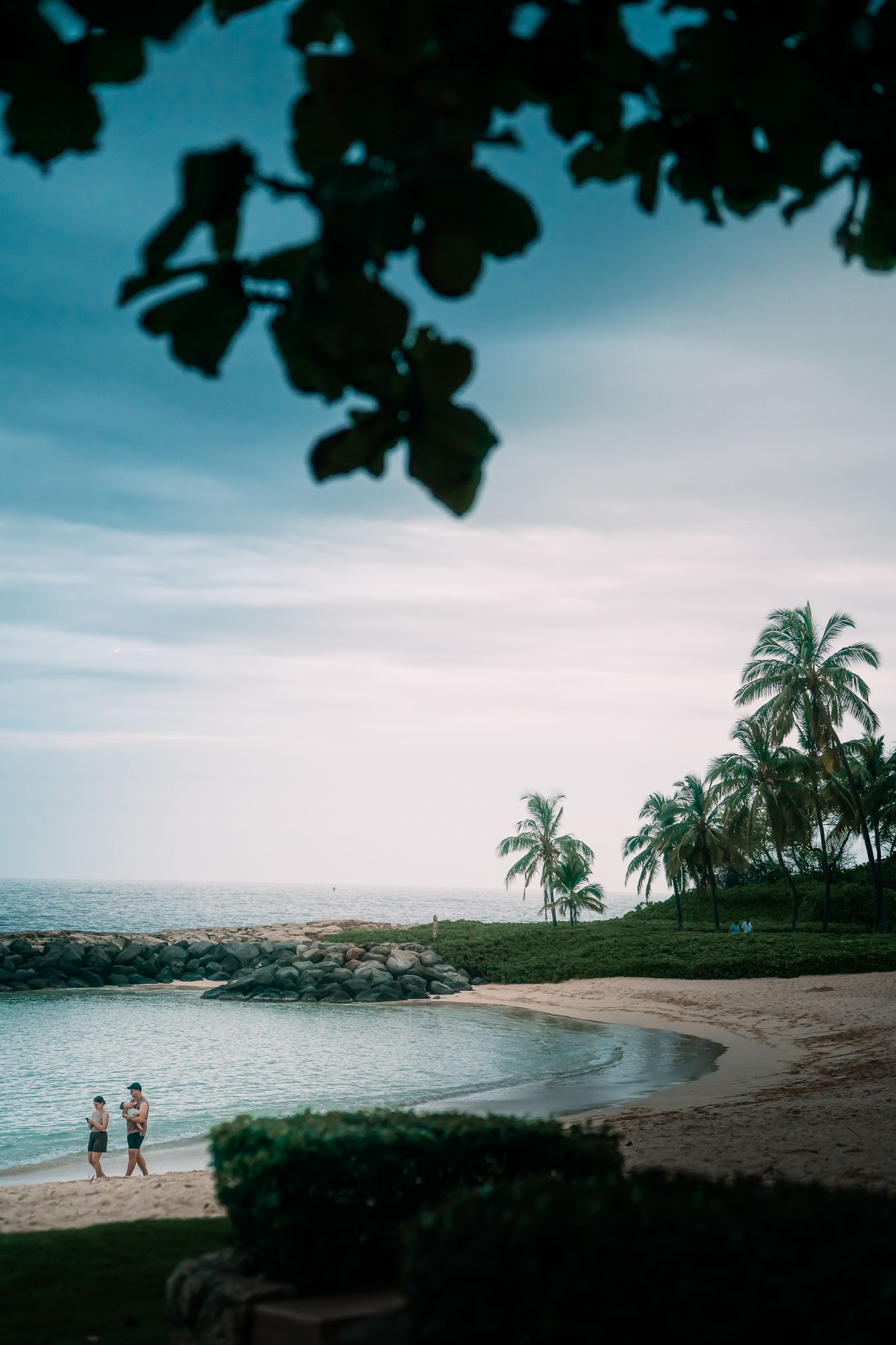 Palm-lined shoreline and calm water at a Ko Olina beach